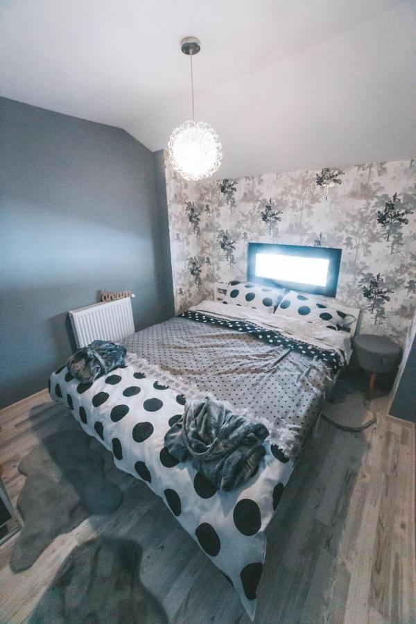 Acasa Straja - Casa Nordica Villa Lupeni  Buitenkant foto